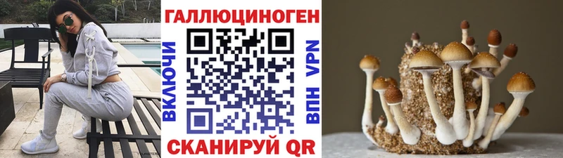 Псилоцибиновые грибы Cubensis  hydra вход  Королёв 
